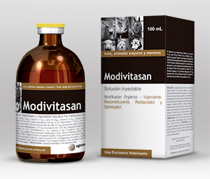 Modivitasan 