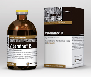 Vitamino® B 